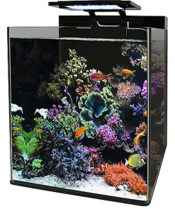 Blue Marine - Nano Aquarium Marin Reef 90 - 50x35x40cm