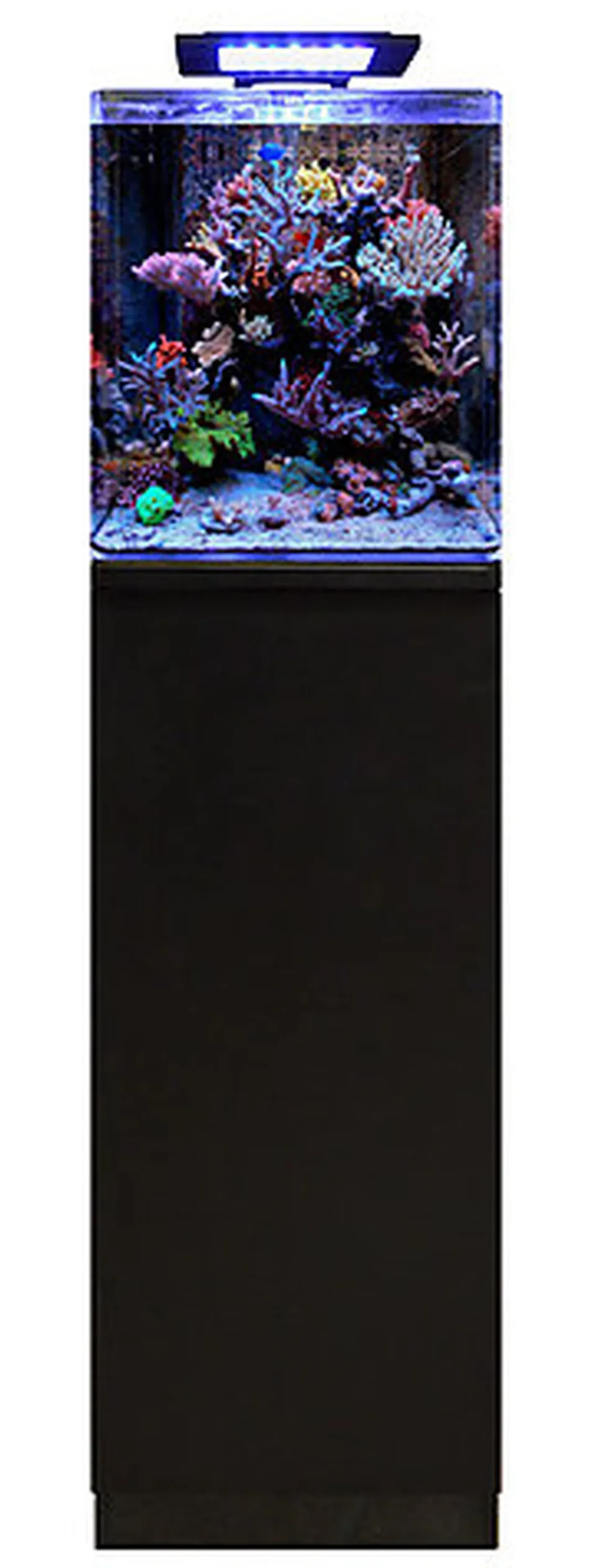 Blue Marine - Nano Aquarium REEF 60 Equipé - 63L