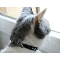 Bobby - Collier PORTE-ADRESSE Réfléchissant pour Chat - Gris