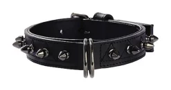 Bobby - Collier Pretty Vert pour Chiens