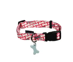 Bobby - Collier Rio Rose pour Chiens