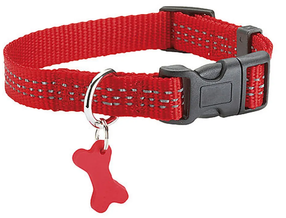 Bobby - Collier Safe Rouge pour Chiens
