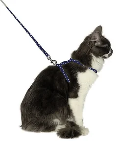 Bobby - Harnais + Laisse Pretty pour Chat