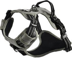 Bobby - Harnais Rando Walk Gris pour Chiens