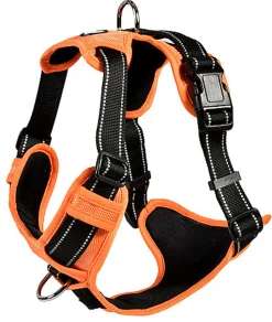 Bobby - Harnais Rando Walk Orange pour Chiens