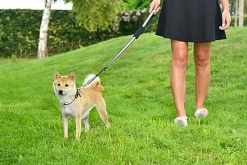 Bobby - Laisse avec Attache Sécurité Voiture Fuchsia pour Chien