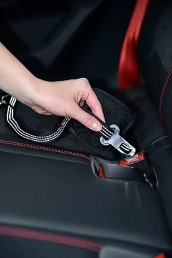 Bobby - Laisse avec Attache Sécurité Voiture Fuchsia pour Chien