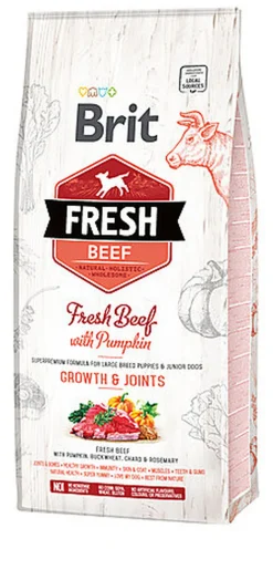 Brit - Croquettes Puppy Large Bœuf et Courge pour Chien