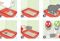 Canada Litter - Litière Agglomérante pour Chats - 12Kg