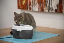 Cat H2O - Fontaine à Eau pour Chat - Gris