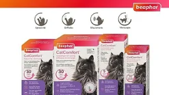 CatComfort - Spray Calmant aux Phéromones pour Chat