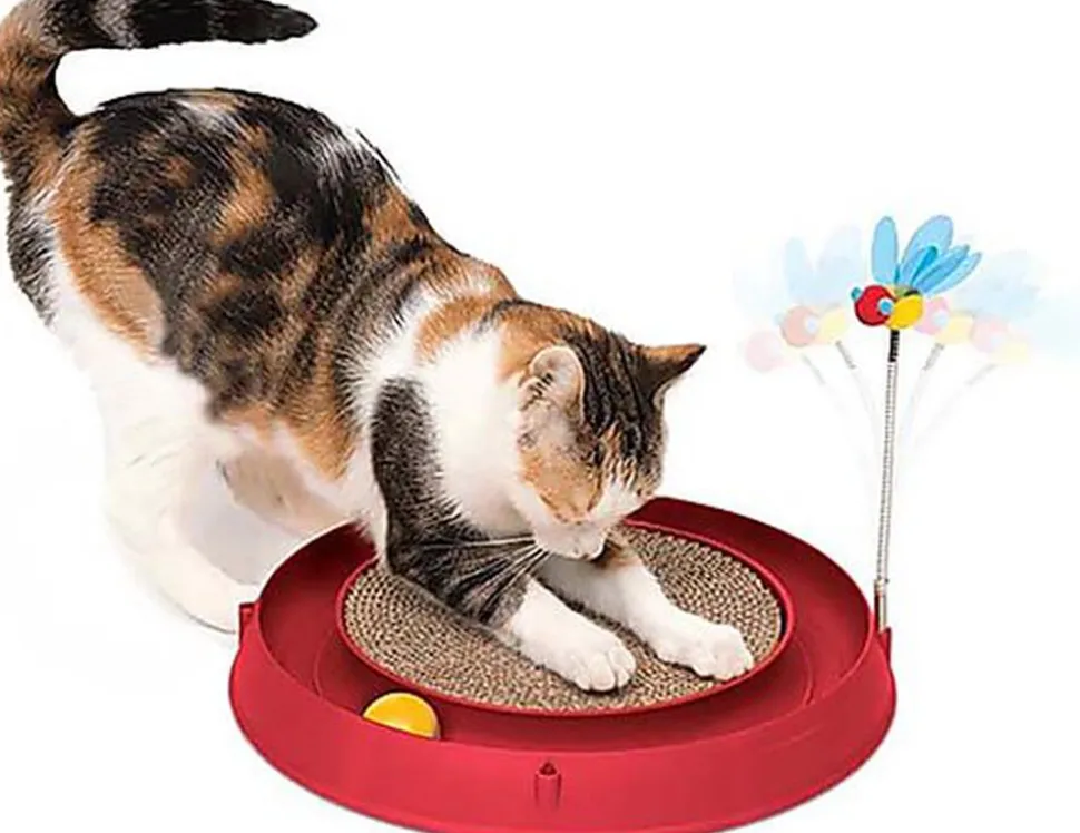 Catit - Jouet Play Circuit 3 en 1 pour Chats - Orange