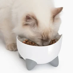 Catit - Kit Abreuvoir et Mangeoire Pixi Combo pour Chats
