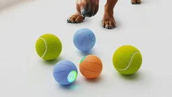 Cheerble - Balle Pelote Interactive Cheerble SE pour Chats