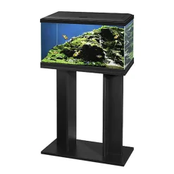 Ciano - Aquarium 60 LED - Noir