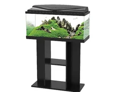 Ciano - Aquarium 80 LED Noir - 80X30X41,5CM