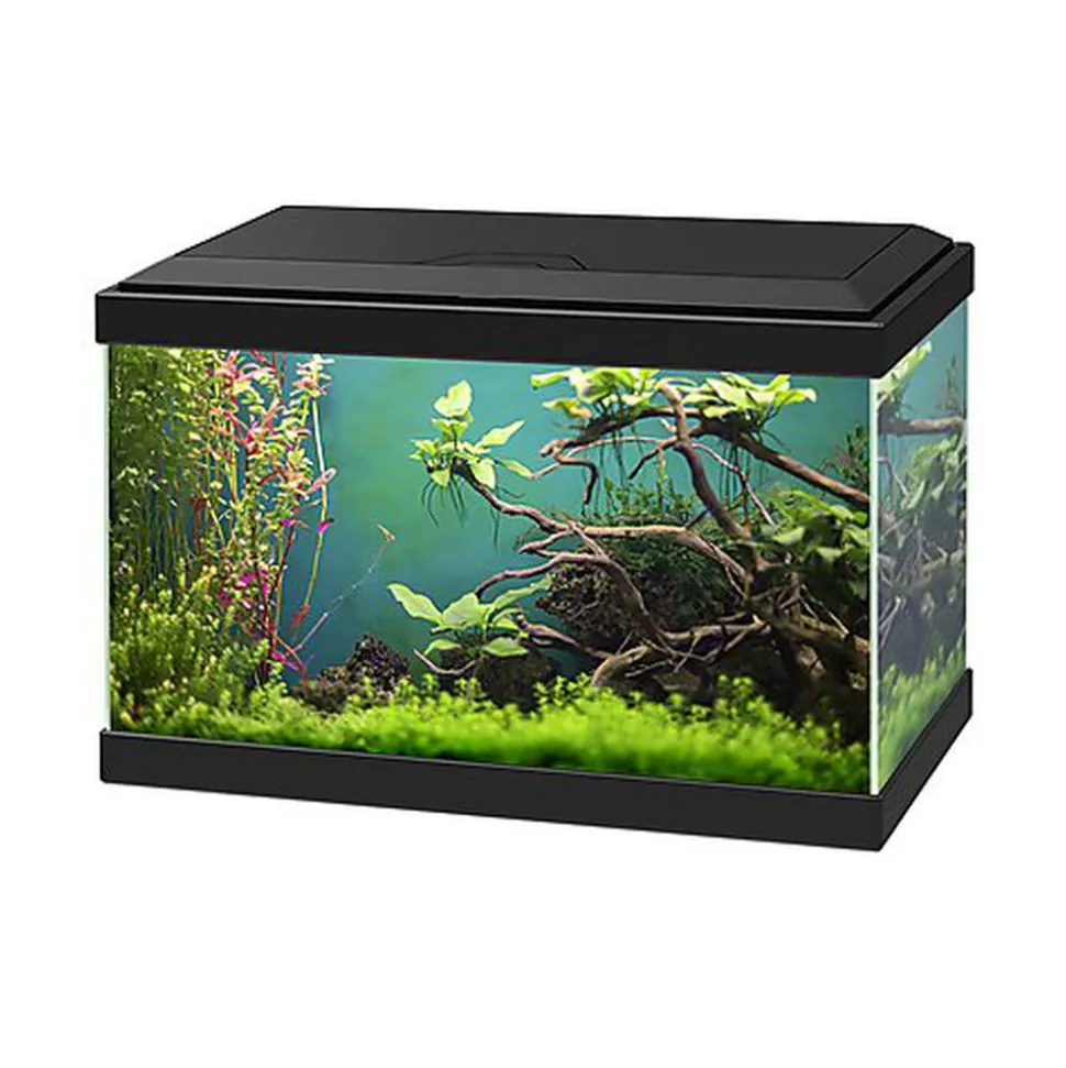 Ciano - Aquarium Classic Noir + Filtre CF40 - 20L