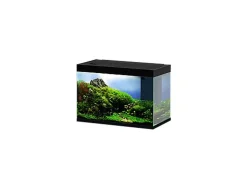 Ciano - Aquarium Emotions Nature Pro 80 - Noir