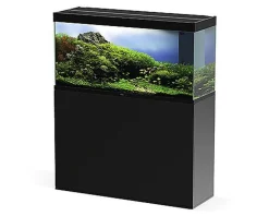 Ciano - Aquarium Emotions Nature Pro 120 - Noir