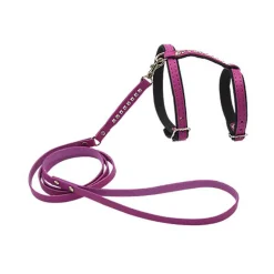 Comme Un Roi - Harnais et Laisse Cuir So Funky Rose pour Chat - TU