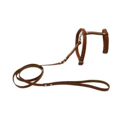 Comme Un Roi - Harnais et Laisse Cuir So Chic Caramel pour Chat - TU