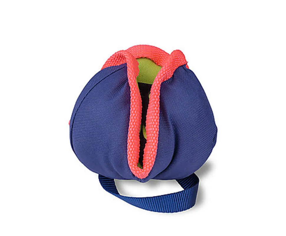 Company of Animals - Jouet Coachi Chase & Treat pour Chiens