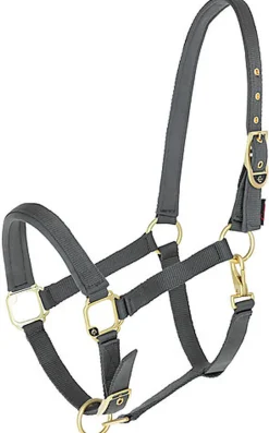 Covalliero - Licol Réglable Classy Stone