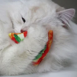 Croci - Jeu BAKERY Pizza Catnip pour Chat - 8cm