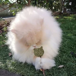 Croci - Jouet Baguette Catnip Euphoria Cat Face - 14cm