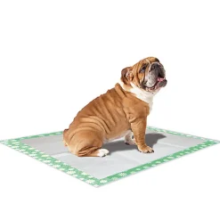 Croci - Tapis Hygénique Super Nappy Daisy pour Chiots - 57x54cm