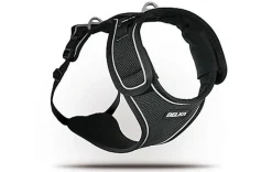 Curli - Harnais Belka Air-Mesh en Noir pour Chiens - S