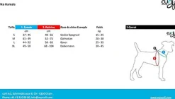 Curli - Harnais Belka Air-Mesh en Noir pour Chiens