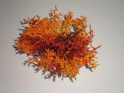 Décoration Plante en Plastique Décors Colorés Assortis