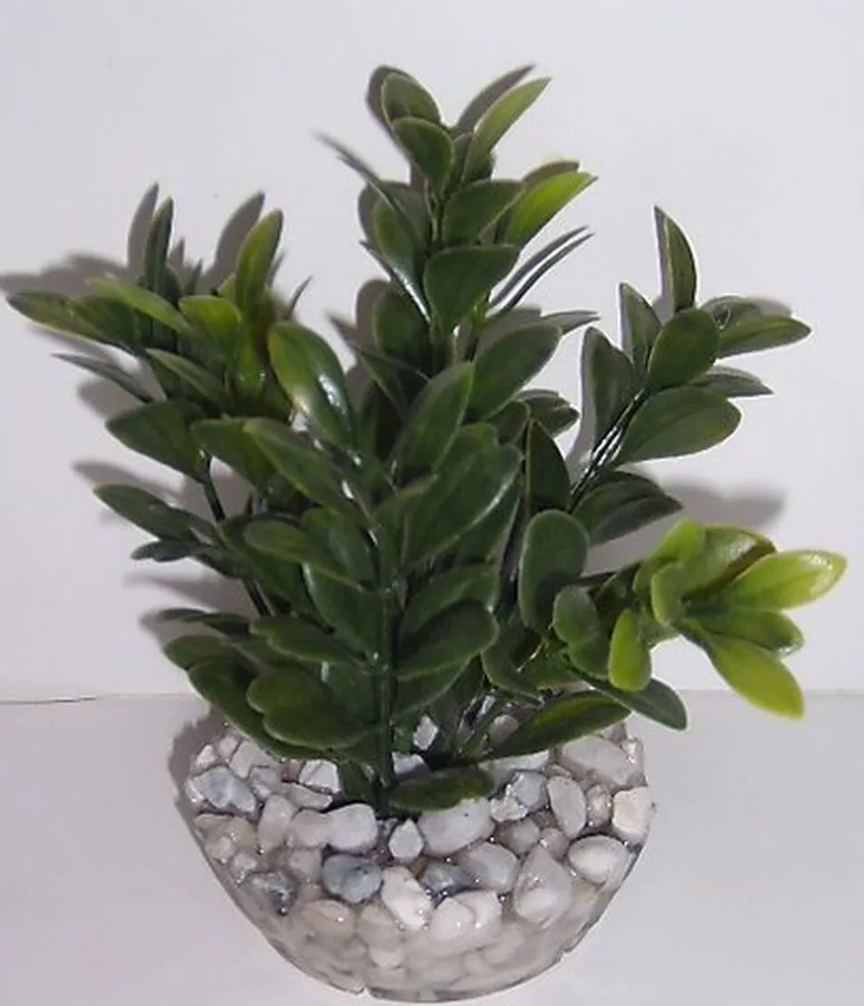 Décoration Plante en Plastique Massif Algue Assorti