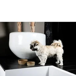 D&D - GAMELLE ET BOL D`EAU JASPER SAND 1400ml - 20,8x20,8x9cm