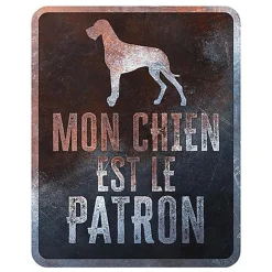 D&D - Panneau d'avertissement Danish dog Français - 25x20x03cm Multicolore