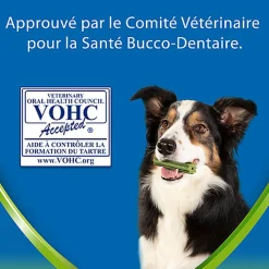 DENTALIFE - Friandises à mâcher ACTIVFRESH bucco-dentaire pour Chiens Moyens - 115g