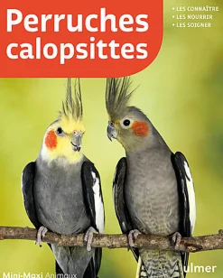 Éditions Ulmer - Perruches calopsittes, les connaître, les nourrir, les soigner