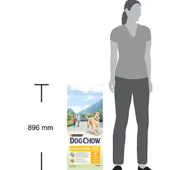 Dog Chow - Croquettes Complet au Poulet pour Chien - 14Kg