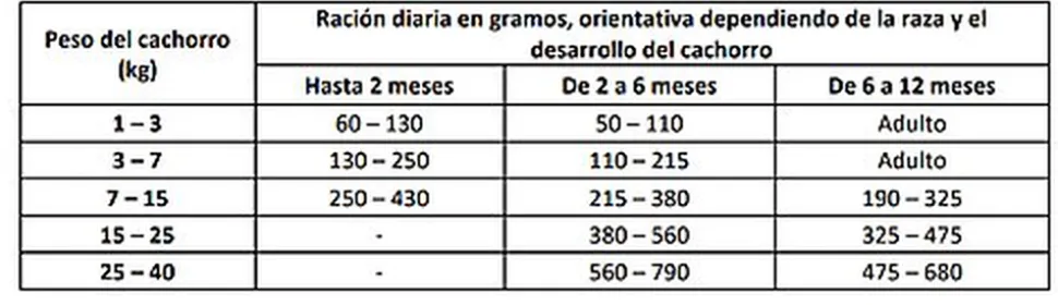 DogXtreme - Croquettes au Poulet Frais pour Chiot de Toute Race