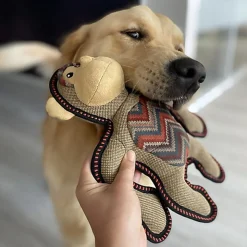 Duvoplus - Jouet Canvas Gorille Brun pour Chiens - 29x24x9cm