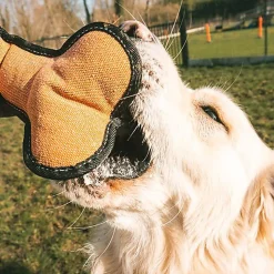 Duvoplus - Jouet Canvas os Multicolore - 12 x 14 x 24 cm