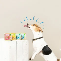 Edgard & Cooper - Barquette BIO au Poisson avec Carottes et Fenouil pour Chien - 100g