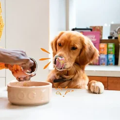 Edgard & Cooper - Boîte au Poulet et Dinde pour Chien - 400g
