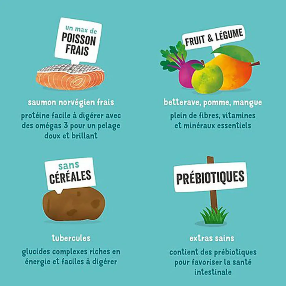 Edgard & Cooper - Croquettes au Saumon pour Chien