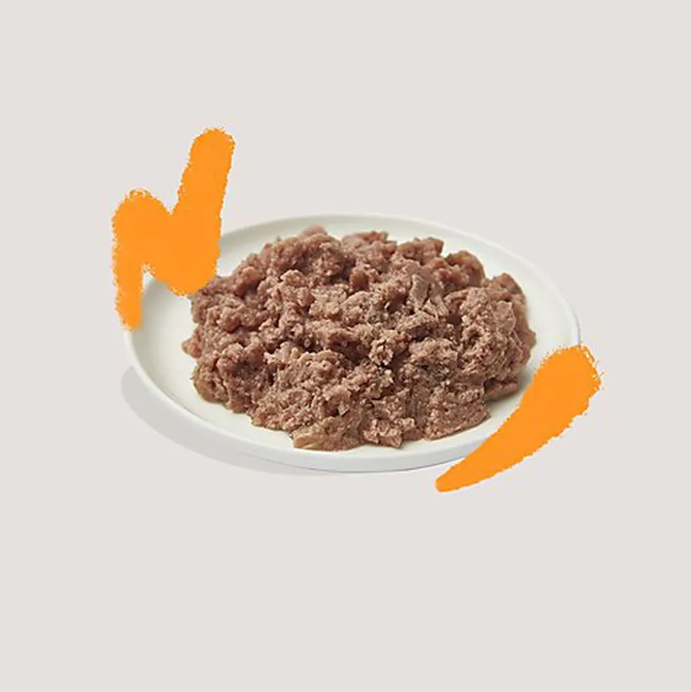 Edgard & Cooper - Multipack Pâtées au Poulet Dinde Saumon et Agneau pour Chat - 8x85g