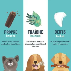 Edgard & Cooper - Sticks à Mâcher Dental Naturel à l'Eucalyptus et Pomme Fraîche pour Chien L