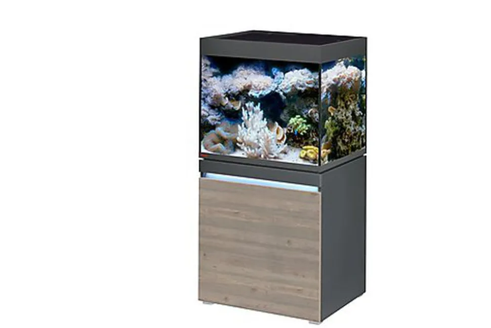 Eheim - Aquarium + Meuble Marin Incpiria Rust/Oak - 230L