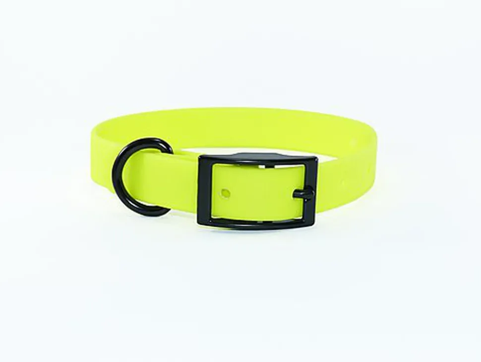 eKys - Collier Biothane pour Chien Jaune