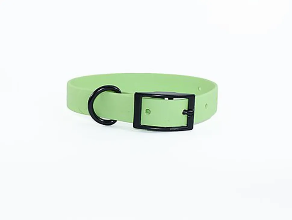 eKys - Collier Biothane pour Chien Vert